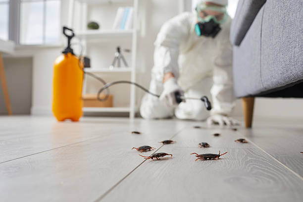 Commercial Kitchen Cockroach Control in Vassar